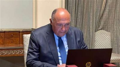 وزير الخارجية يؤكد موقف مصر الداعم للقضية الفلسطينية