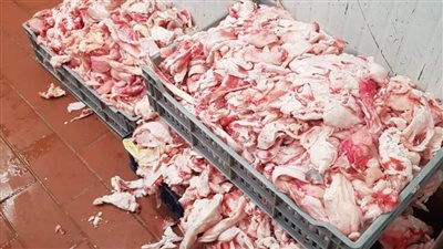 الصحة: إعدام 387 طن أغذية و12 ألف لتر مشروبات غير صالحة للاستهلاك الآدمي