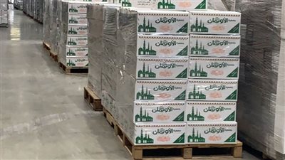 الأورمان تستعد لشهر رمضان بتعبئة 4 آلاف كرتونة مواد غذائية بقرى المنيا