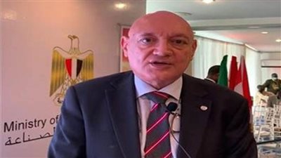 سفير مصر لدى الكاميرون: ترتيبات خاصة لاستقبال طائرة المنتخب المصري