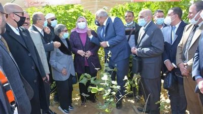 وزيرة التضامن الاجتماعي في جولة تفقدية بالوادي الجديد لافتتاح عدد من المشروعات