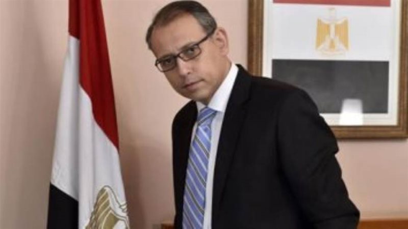 السفير نزيه النجاري