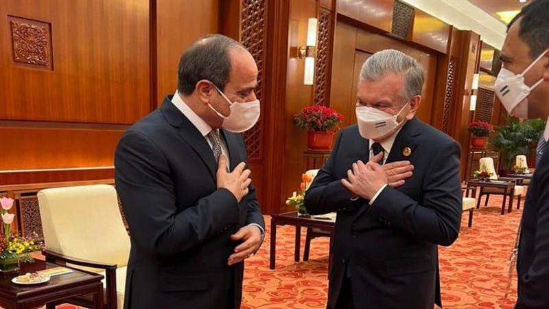 السيد الرئيس عبد