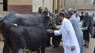 الزراعة: 1.2 مليون جرعة للماشية ضد مرض الجلد العقدي وجدري الأغنام