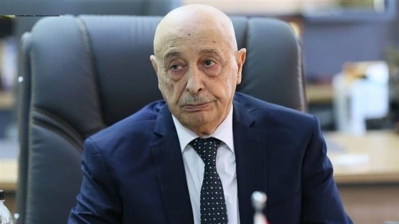 المستشار عقيلة صالح