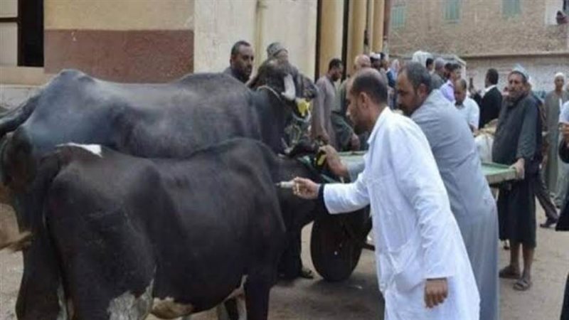 جرعة للماشية ضد مرض