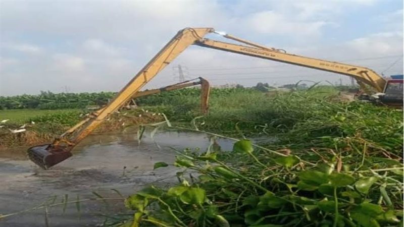 تطهير ونزع حشائش