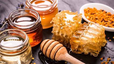 انطلاق مهرجان العسل المصرى بالإسكندرية فى أرض كوتة