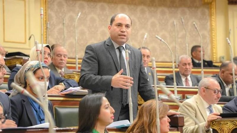 النائب عمرو درويش