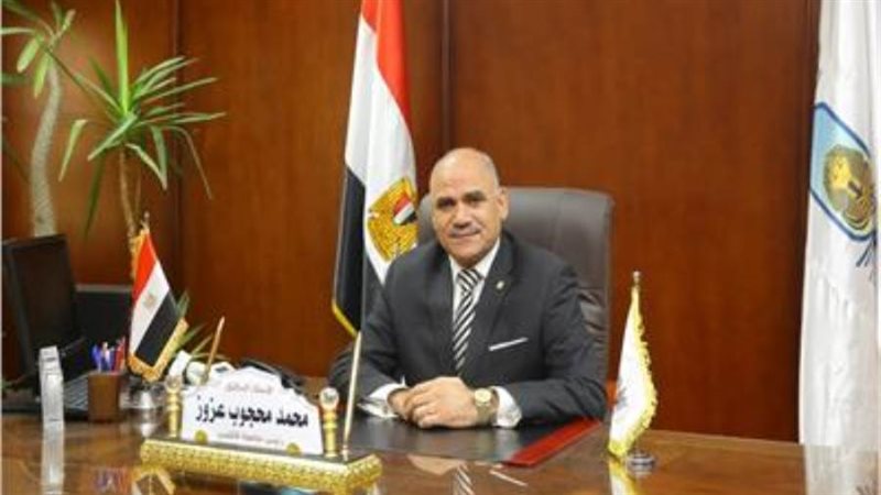 الدكتور محمد محجوب