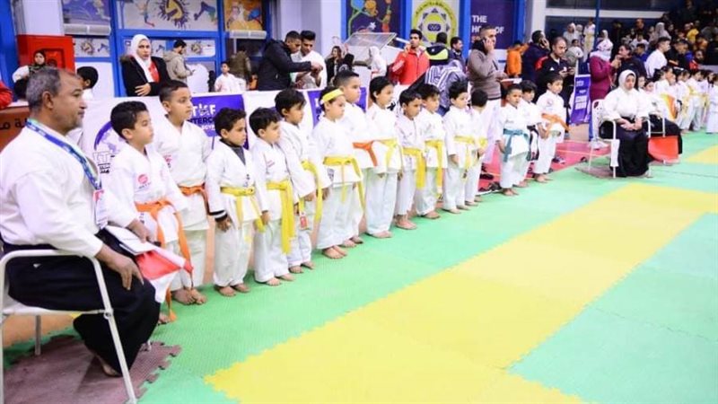 كأس مصر للكاراتيه