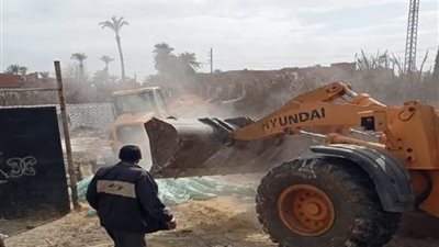 إزالة 137حالة من المرحلة الثانية من الموجة 19 ببني سويف