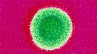 بريطانيا تسجل أول حالة وفاة بحمى 