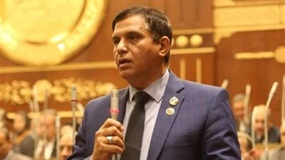 طارق نصير: أول  بصمة  في الجمهورية الجديدة هو  القضاء على العشوائيات