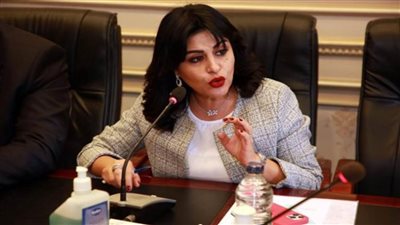 برلمانية: سياسة مصر الخارجية تشهد تغيرات جذرية في عهد الرئيس السيسي