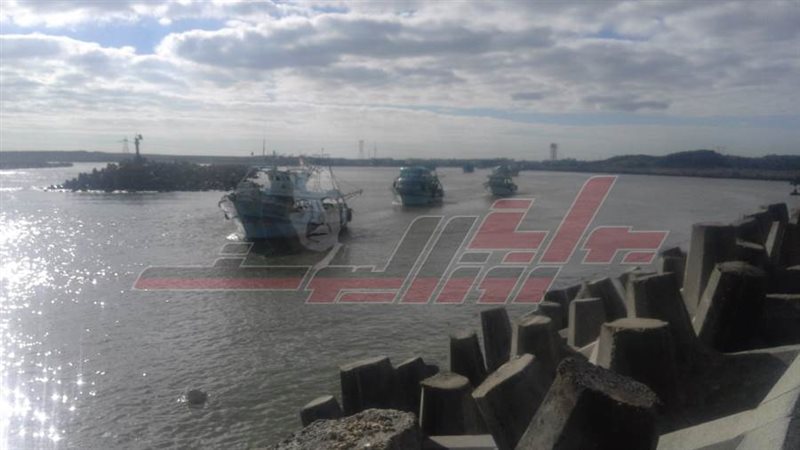 ميناء البرلس