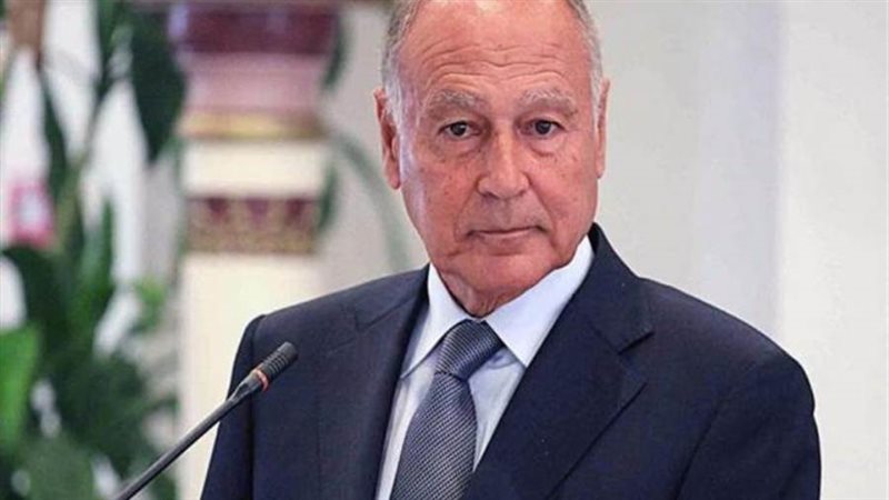 أحمد أبو الغيط الأمين