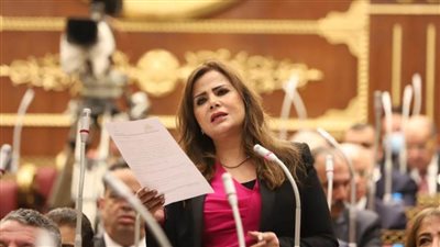 نائبة بالشيوخ: مشروع قانون العمل الجديد وضع المفهوم الصحيح للأمان الوظيفي