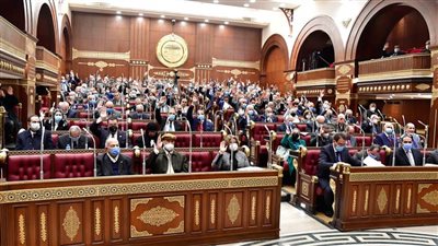 مجلس الشيوخ يحيل طلب مناقشة عامة إلى اللجان النوعية المختصة  