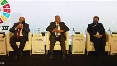 وزير الري: ٤٠ مليون فرد مصدر دخلهم الرئيسي من الزراعة