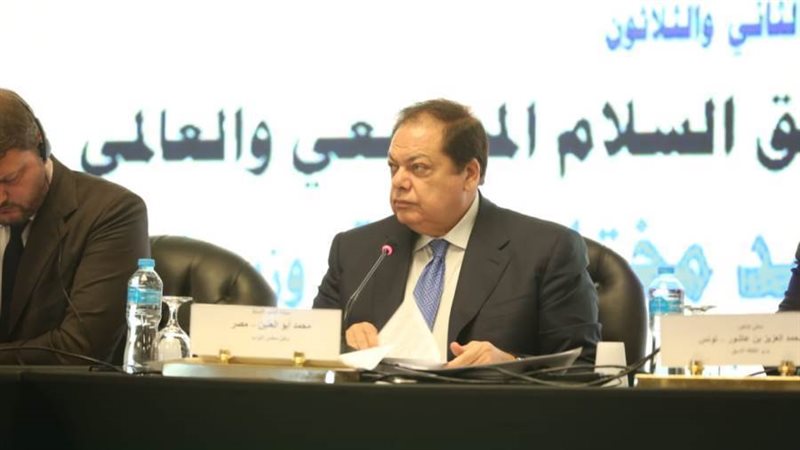 النائب محمد أبو العنيين