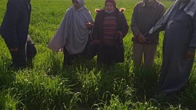 يوم حقلي لتوعية مزارعي الشعير بقرية سرابيوم