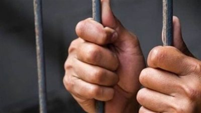  المشدد 7 سنوات لحداد متهم بقتل نجل شقيقه بشبين القناطر