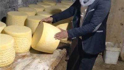 إعدام 5 أطنان أغذية فاسدة وغلق 41 منشأة غذائية بالشرقية 