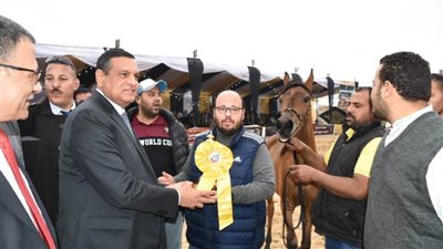 محافظ البحيرة يفتتح المهرجان الدولي الخامس عشر للخيول العربية الأصيلة
