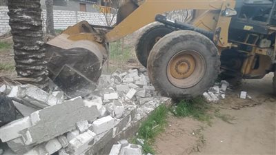 استمرار حملات إزالة التعديات على الأراضي الزراعية والمجاري المائية بالبحيرة