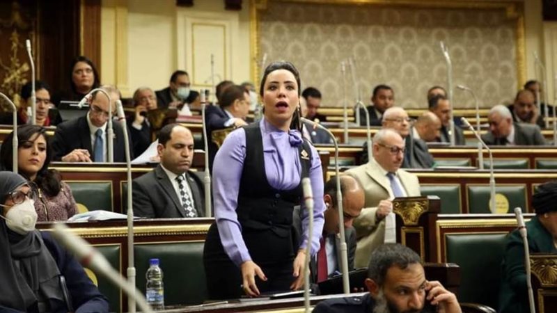 النائبة غادة على