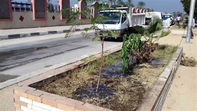 زراعة 3660 شجرة بمركز جهينة ضمن فعاليات مبادرة 