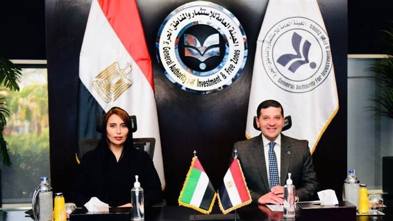 المستشار محمد عبد