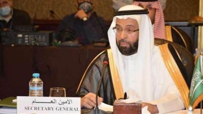 أمين عام المجلس التنفيذي لمؤتمر وزراء الأوقاف: وثيقة القاهرة للسلام جاءت في وقتها