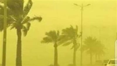 عاصفة ترابية تضرب الوادي الجديد والمحافظ يقرر رفع درجة الاستعداد القصوى