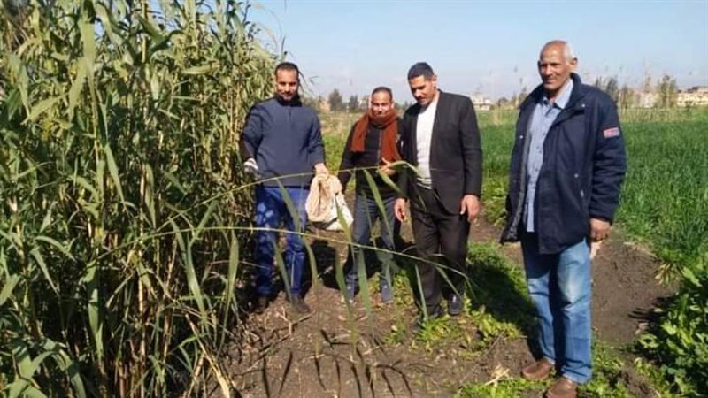 لجان مكبرة لمتابعة