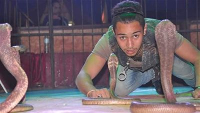 غرام الأفاعي.. إبراهيم يروّض الزواحف المرعبة ويقدم بها عروضه 