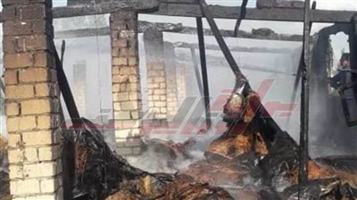 حريق مزرعة دواجن بقرية بكفر الشيخ وإصابة شخص