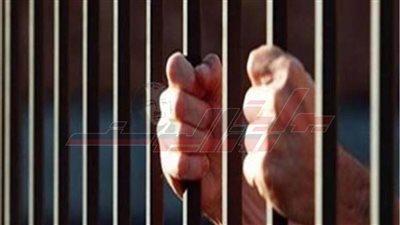  ضبط أسلحة نارية ومواد مخدرة و1260 مخالفة مرورية بكفر الشيخ