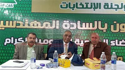 بثينة الحسيني.. أول سيدة نقيباً للمهندسين بكفر الشيخ