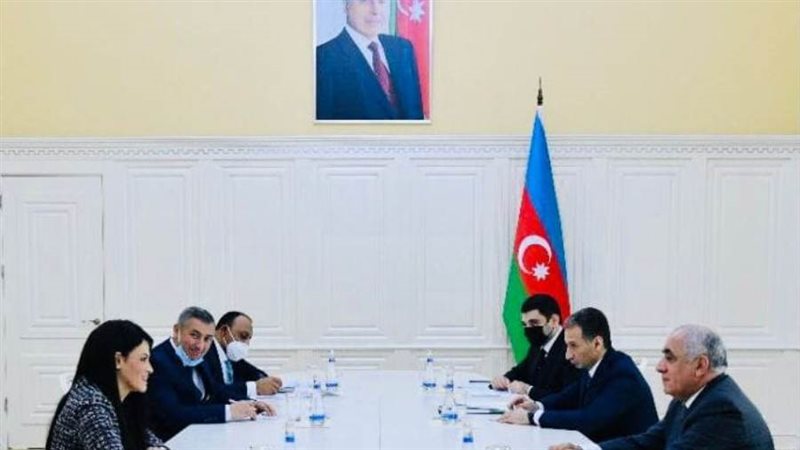 وزيرة التعاون الدولي