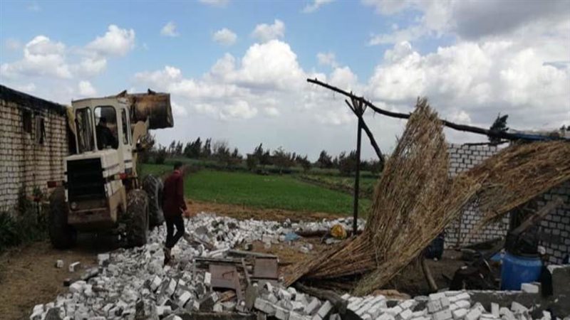 صورة أرشفيه