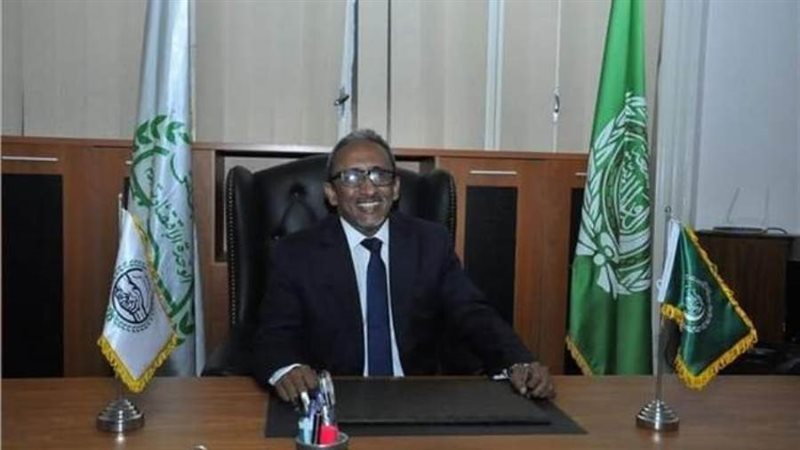 السفير محمدى أحمد