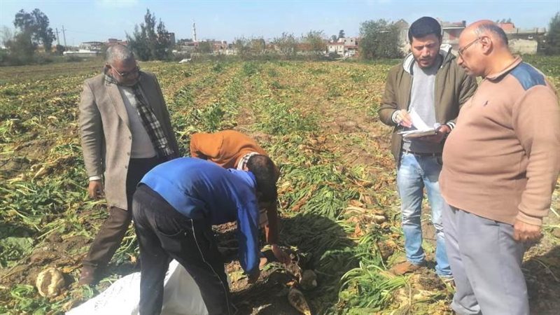 افتتاح موسم حصاد