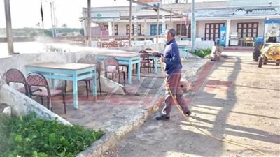  حملات مكبرة لمكافحة الناموس والباعوض بمصيف بلطيم