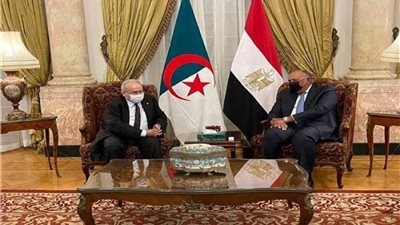 وزير الخارجية يبحث مع نظيره الجزائري مستجدات الأوضاع على الساحة الدولية