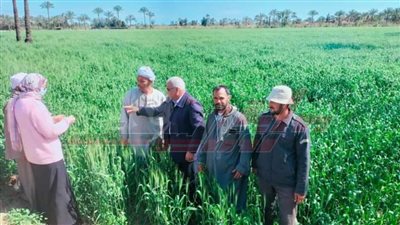 صرف الأسمدة  للموسم الشتوي بالكارت الذكي بكفر الشيخ