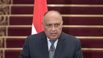 شكري يتلقى اتصالاً هاتفيًا من وزير خارجية جواتيمالا ويبحثان سبل تدعيم العلاقات الثنائية