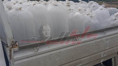 ضبط 84 ألف وحدة زريعة طوبار محملة على سيارة بكفر الشيخ