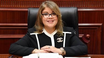 وكيل مجلس الشيوخ: مقاربة الرئيس السيسي للمشكلة السكانية تستهدف تحقيق المعيشة الكريمة 